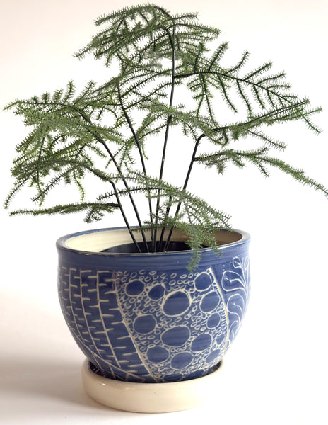 Blue Planter